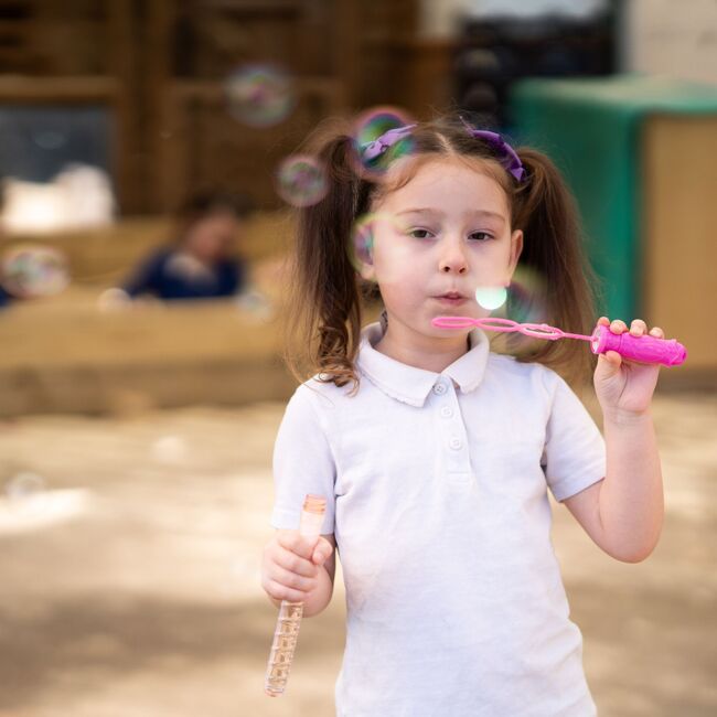 OVPA Term 5 Highlights